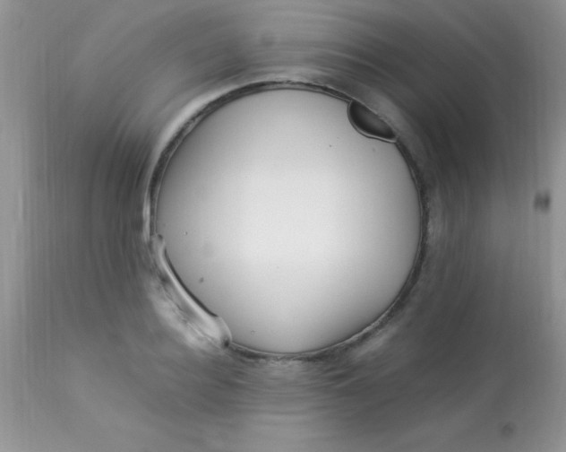 X0000113070940200909182021