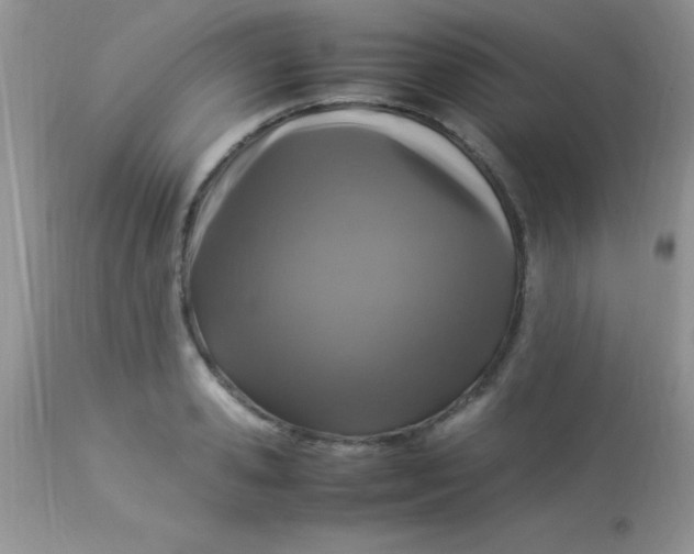 X0000113070941200909182021