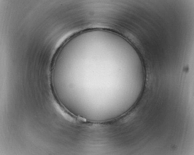 X0000113070942200909182021