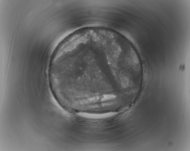 X0000113070943200909182021