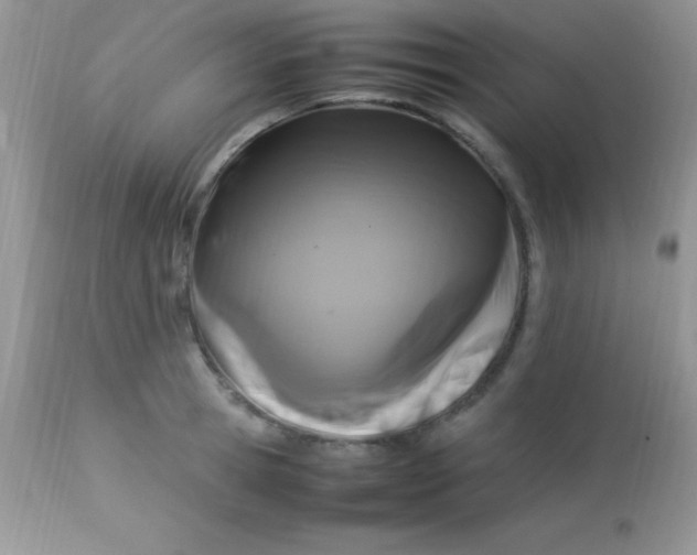 X0000113070945200909182021