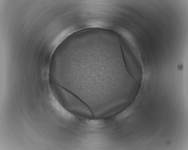 X0000113070946200909182021