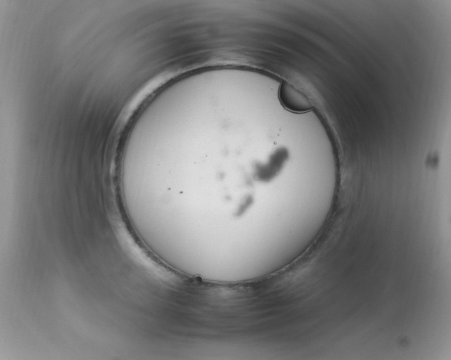 X0000113070947200909182021