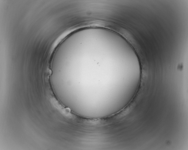 X0000113070948200909182021