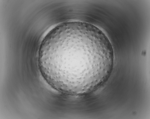 X0000113070949200909182021