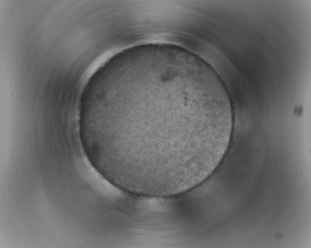 X0000113070950200909182021