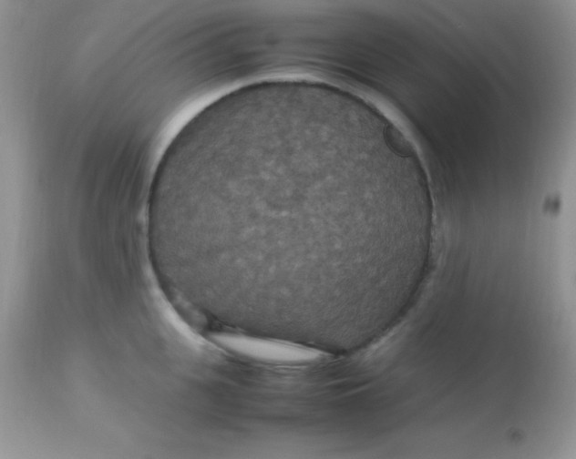 X0000113070951200909182021