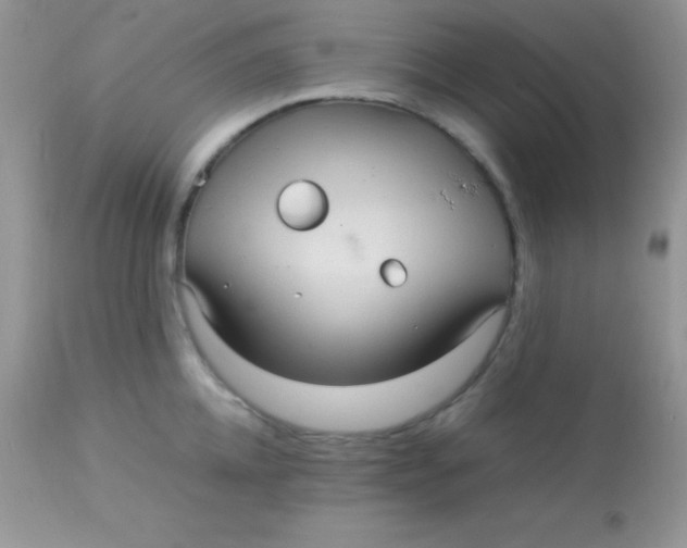 X0000113070952200909182021