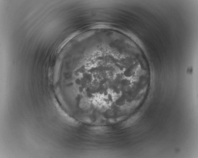 X0000113070953200909182021