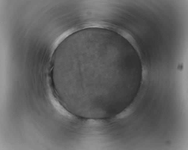 X0000113070954200909182021