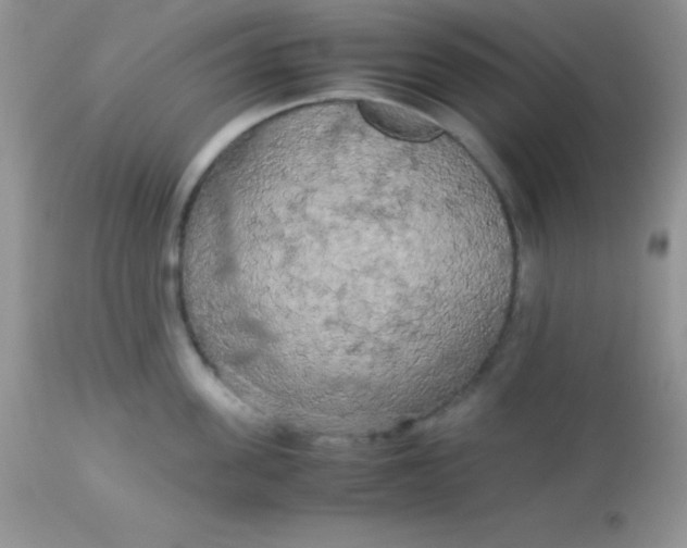 X0000113070955200909182022