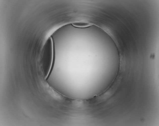 X0000113070956200909182022