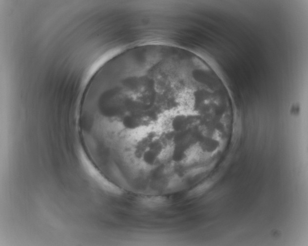 X0000113070957200909182022