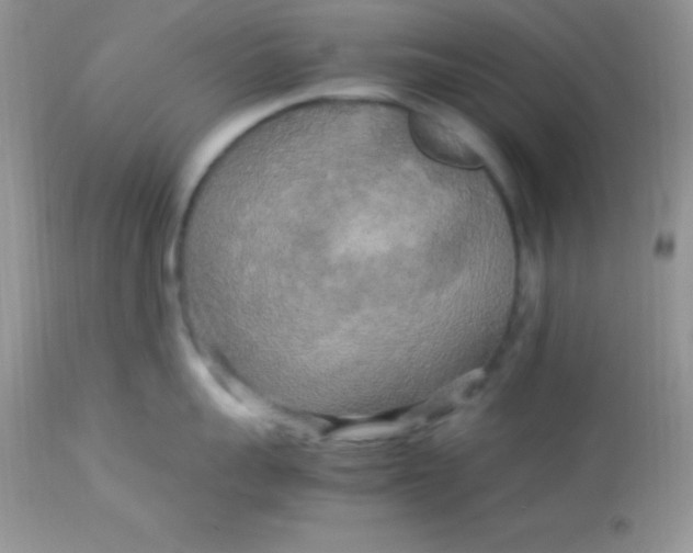 X0000113070959200909182022