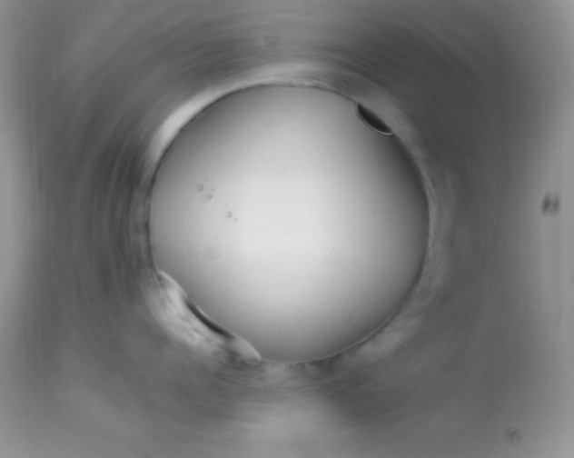 X0000113070960200909182022