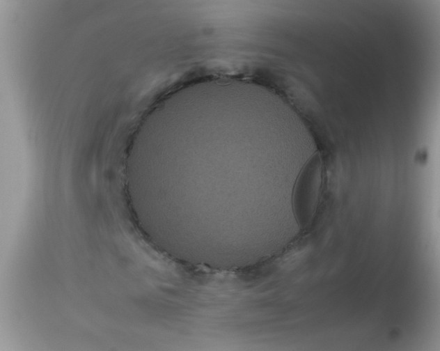 X0000113070961200909182021