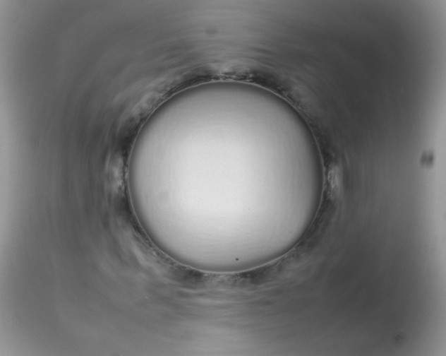 X0000113070963200909182021