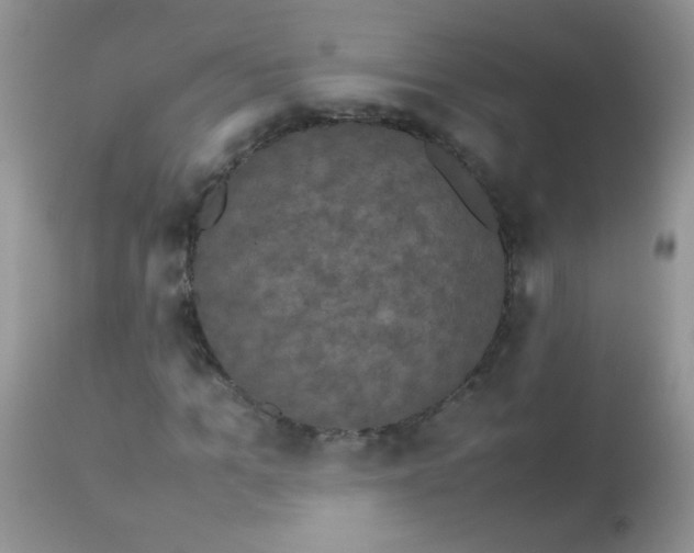 X0000113070965200909182021