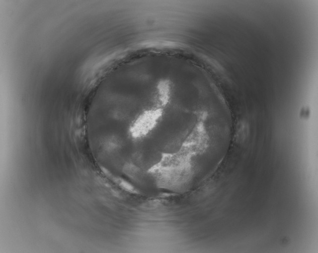 X0000113070966200909182021