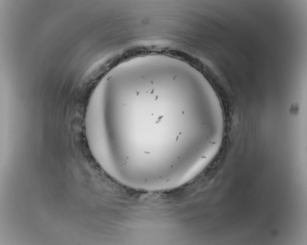 X0000113070967200909182021