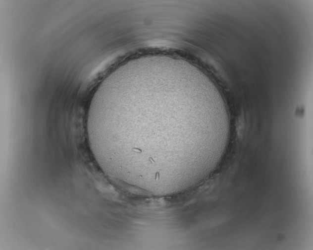 X0000113070968200909182021