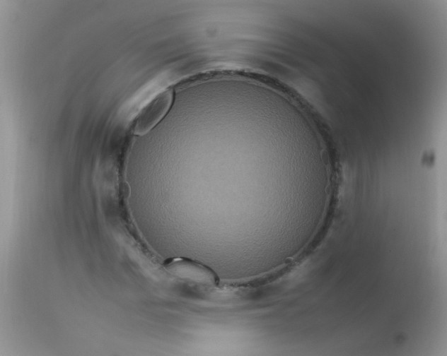 X0000113070969200909182021