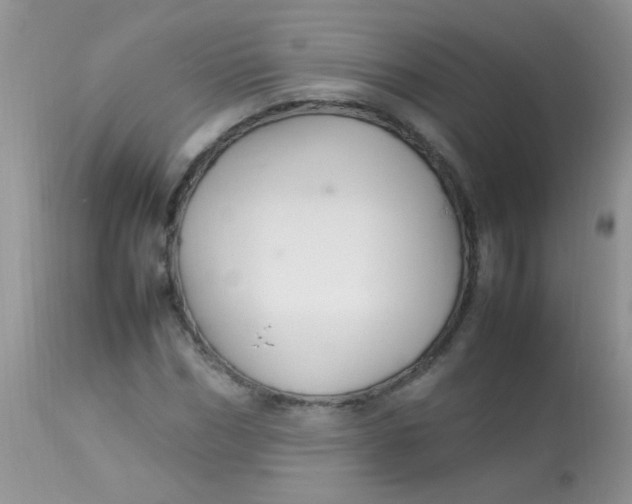 X0000113070970200909182021