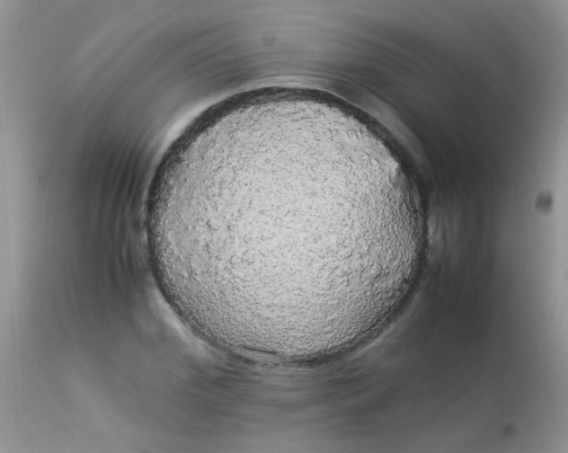 X0000113070972200909182021