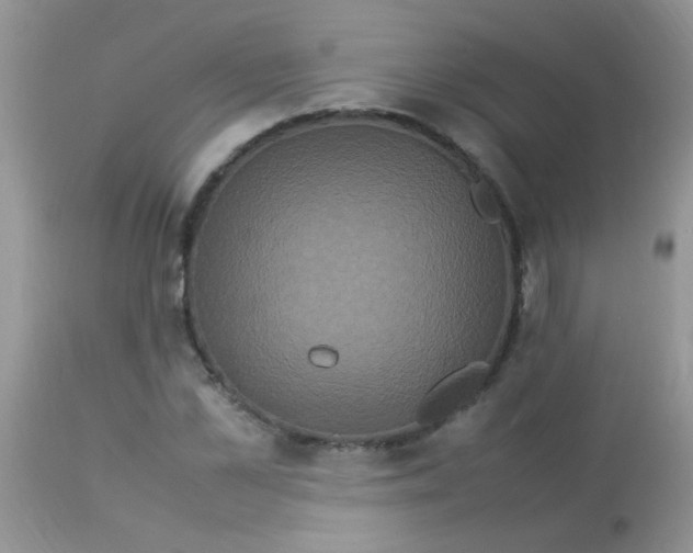 X0000113070973200909182021