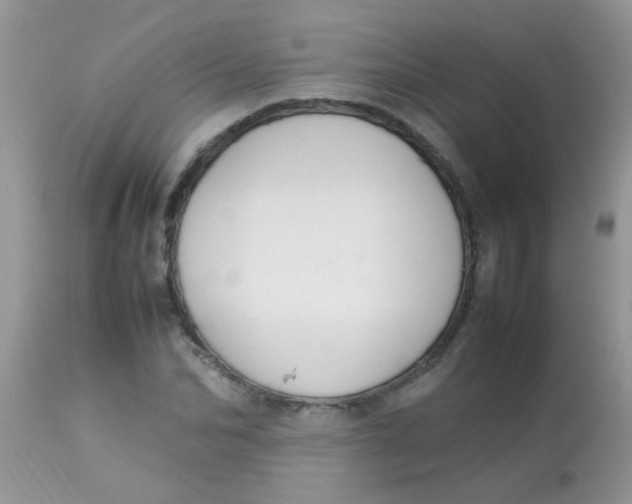 X0000113070974200909182021