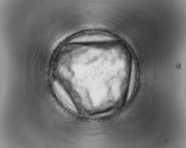 X0000113070975200909182021