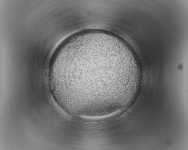 X0000113070976200909182021