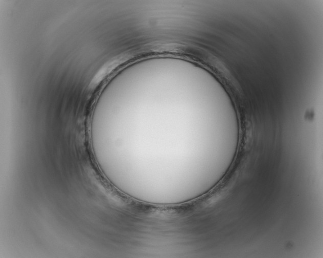 X0000113070978200909182021