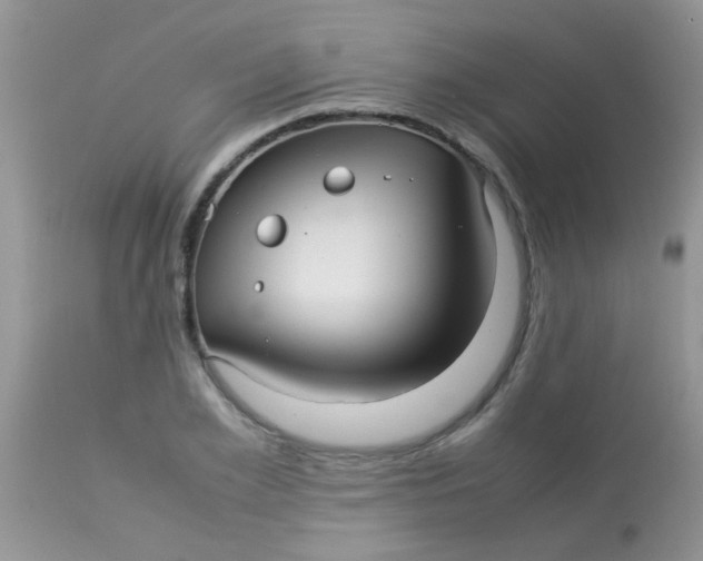 X0000113070981200909182020