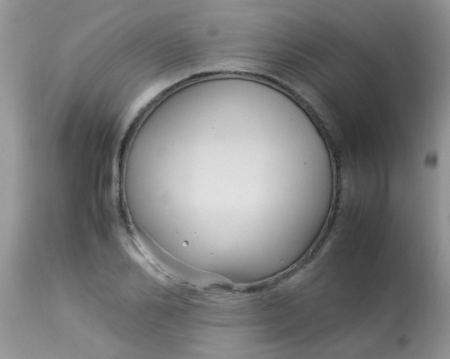 X0000113070982200909182020