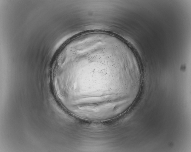 X0000113070983200909182020