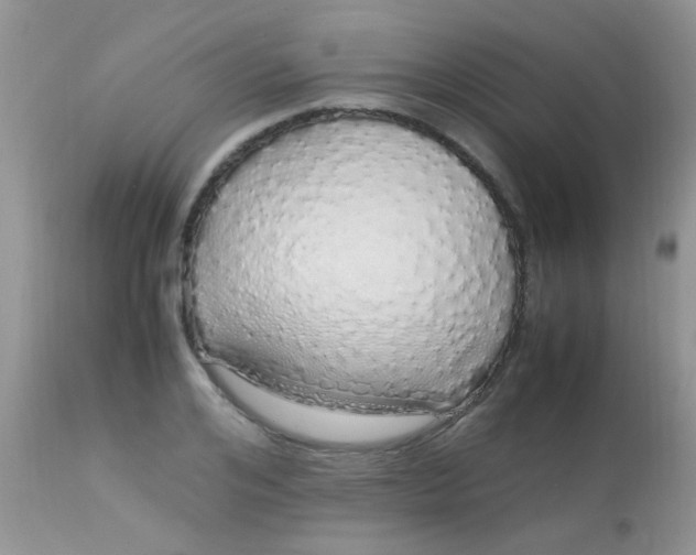 X0000113070984200909182020