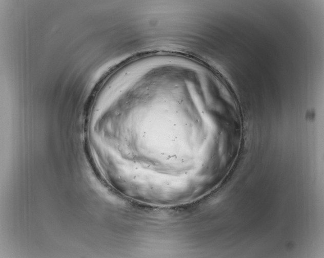 X0000113070987200909182020