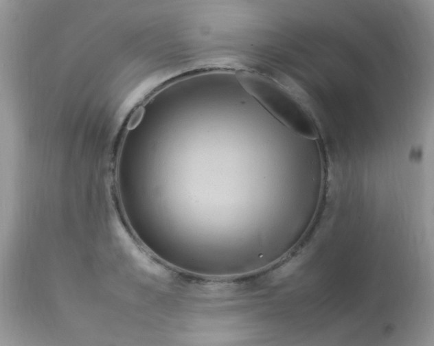 X0000113070989200909182020