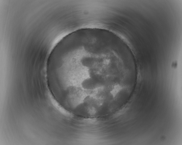 X0000113070990200909182020