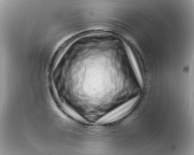 X0000113070991200909182020