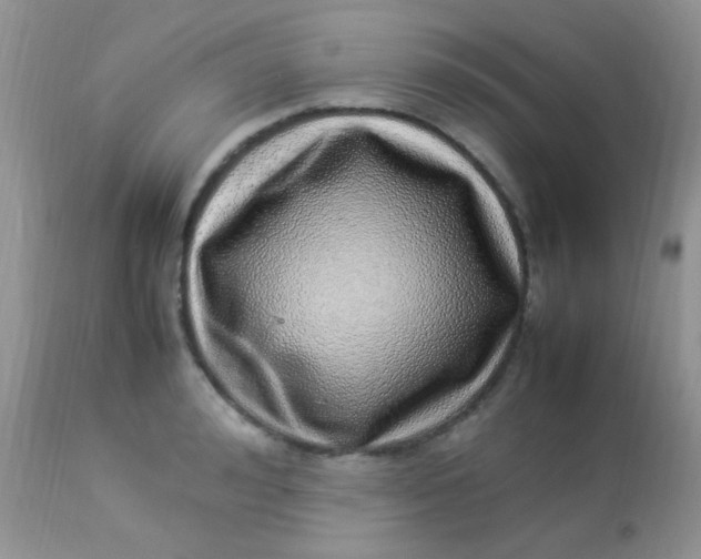 X0000113070992200909182020