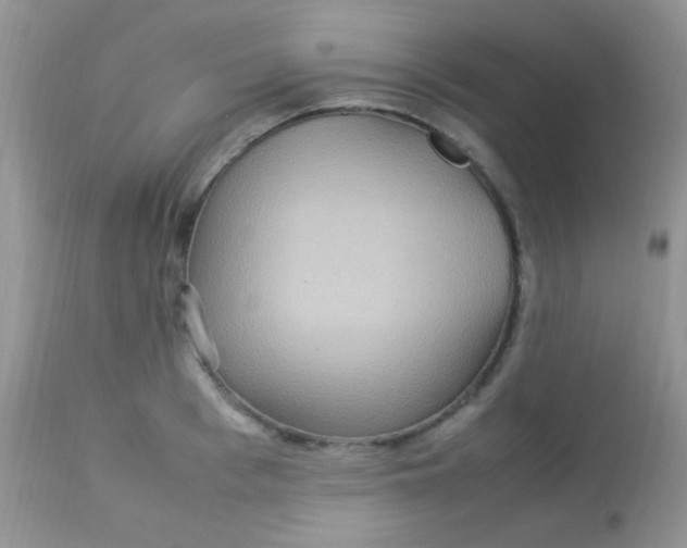 X0000113070993200909182020