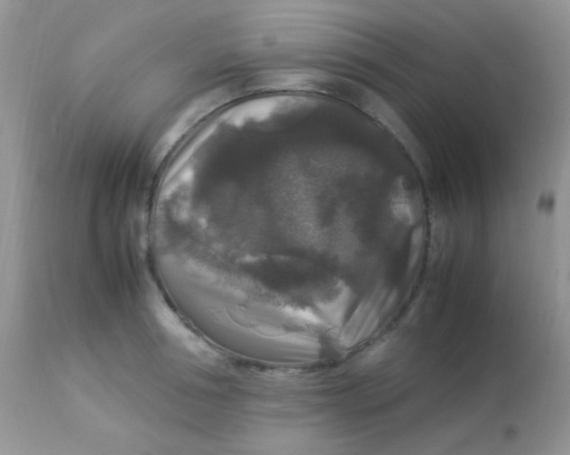 X0000113070994200909182020