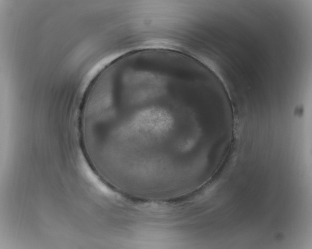 X0000113070995200909182020