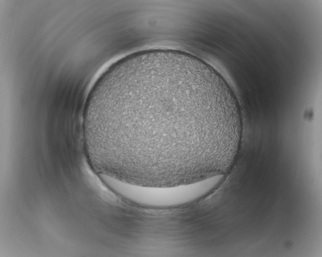 X0000113070996200909182020