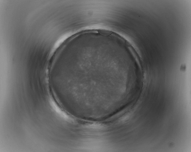 X0000113070998200909182020