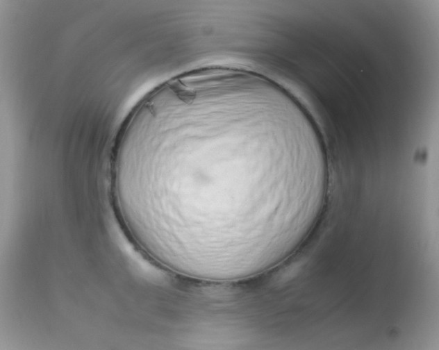 X0000113070999200909182020