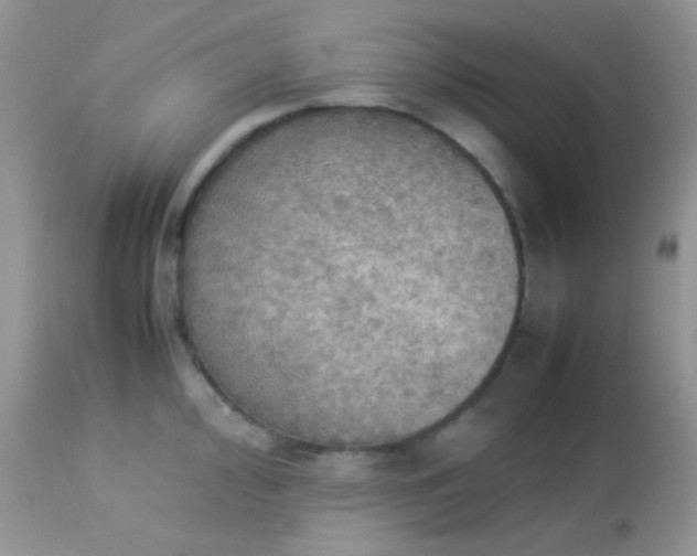 X0000113071000200909182020