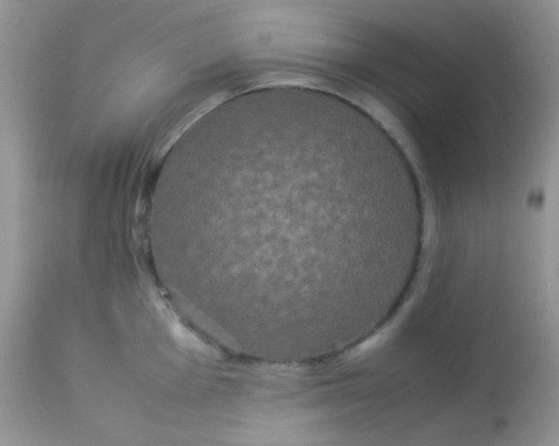 X0000113071001200909182020